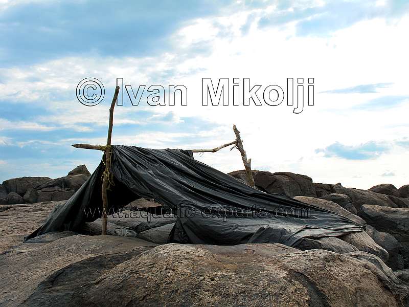 imagen del rio orinoco